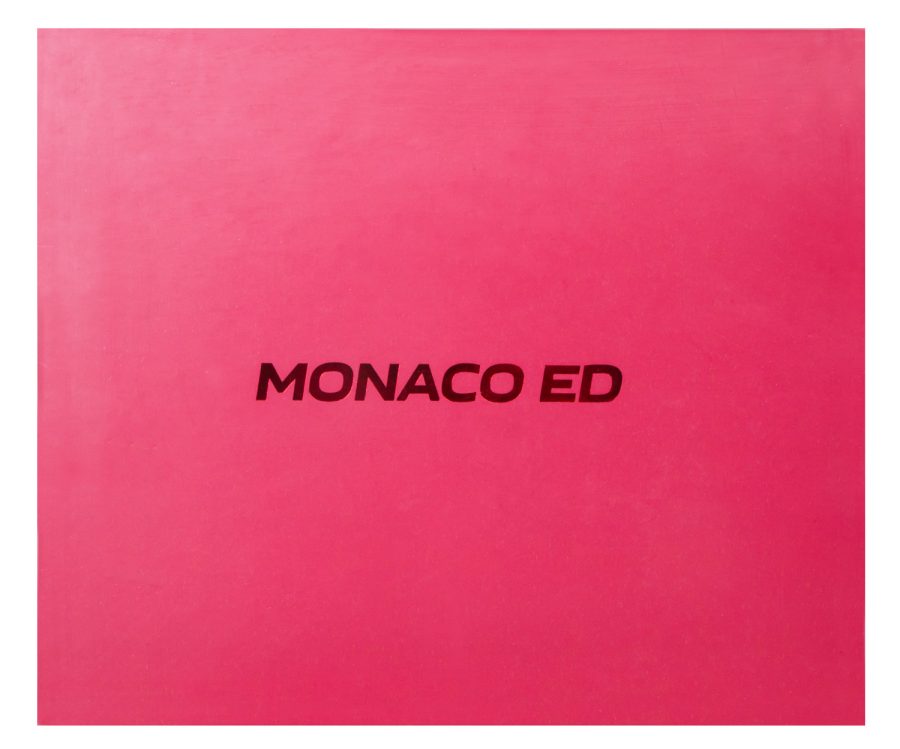 Binocolo Levenhuk Monaco ED 10x42 - immagine 4