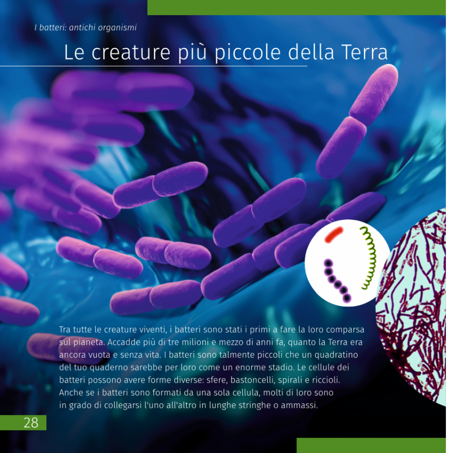 Mondo invisibile. Libro educativo. Copertina rigida - immagine 5