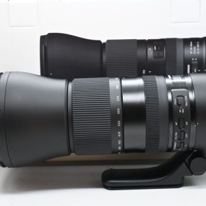 Tamron SP 150-600mm f/5-6.3 Di VC USD G2 x Nikon