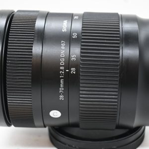 Sigma 28-70mm f/2.8 DG DN C x Panasonic